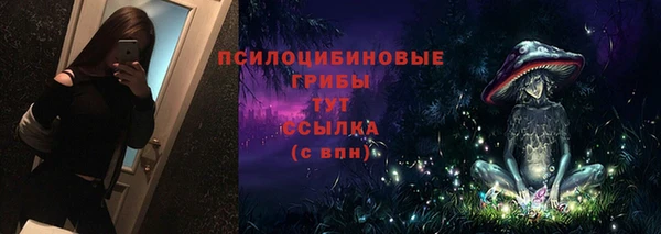 PSILOCYBIN Вязьма