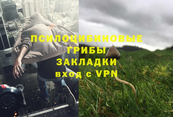 PSILOCYBIN Вязьма