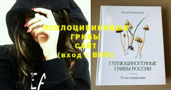 соль ск Вязники
