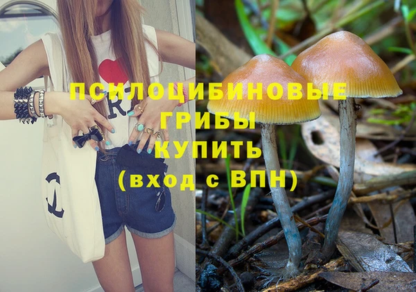 соль ск Вязники