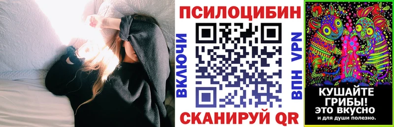 даркнет наркотические препараты  Могоча  Псилоцибиновые грибы Magic Shrooms 