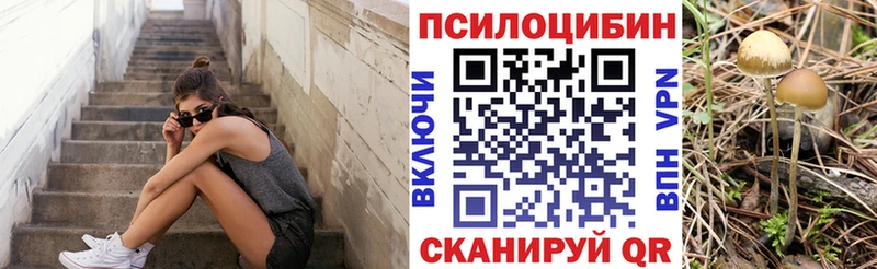 Псилоцибиновые грибы мицелий Могоча